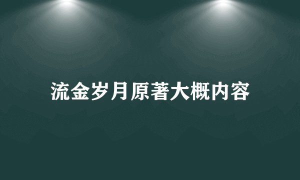 流金岁月原著大概内容