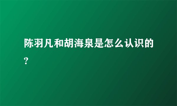 陈羽凡和胡海泉是怎么认识的?