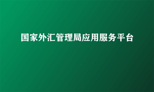 国家外汇管理局应用服务平台