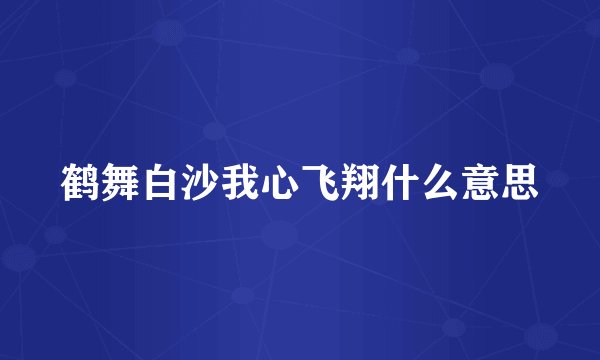鹤舞白沙我心飞翔什么意思