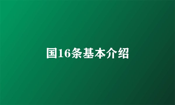 国16条基本介绍