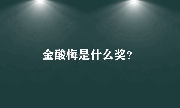 金酸梅是什么奖？
