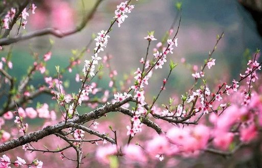 春冰虎尾的意思
