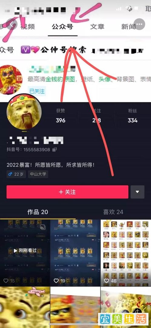 金钱豹发财项目