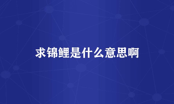 求锦鲤是什么意思啊