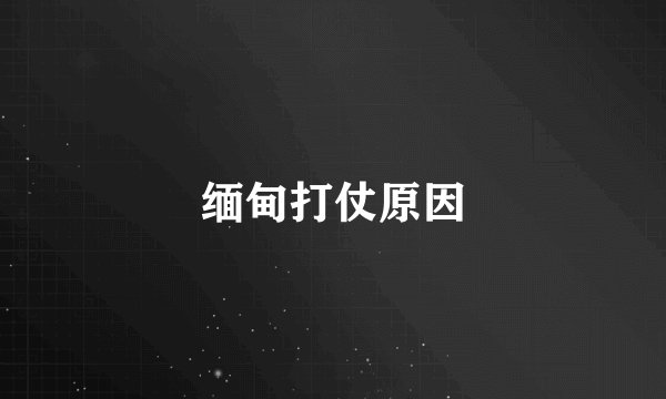 缅甸打仗原因