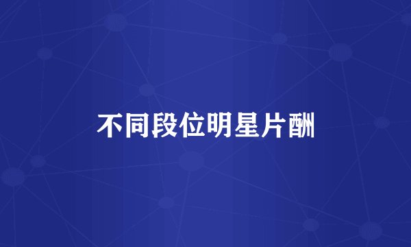 不同段位明星片酬