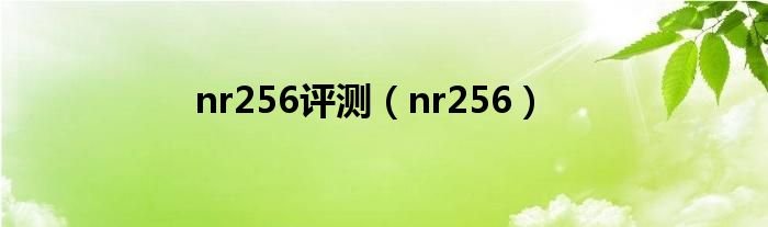 nr256评测nr256