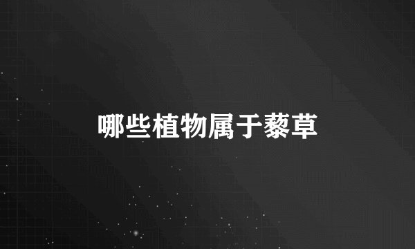 哪些植物属于藜草