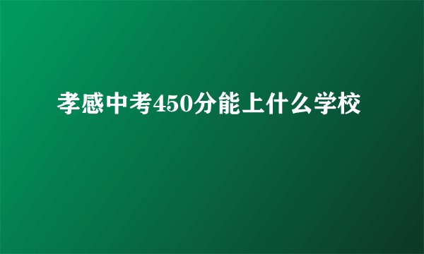孝感中考450分能上什么学校