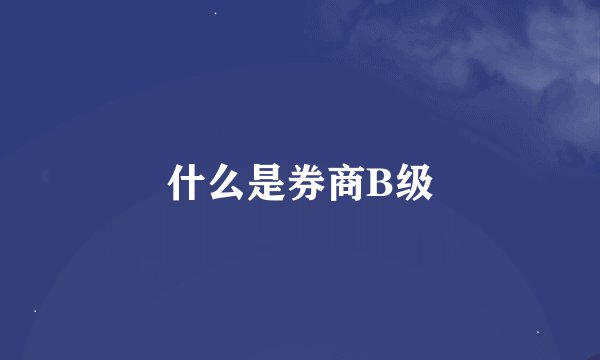 什么是券商B级
