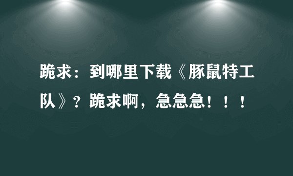 跪求：到哪里下载《豚鼠特工队》？跪求啊，急急急！！！