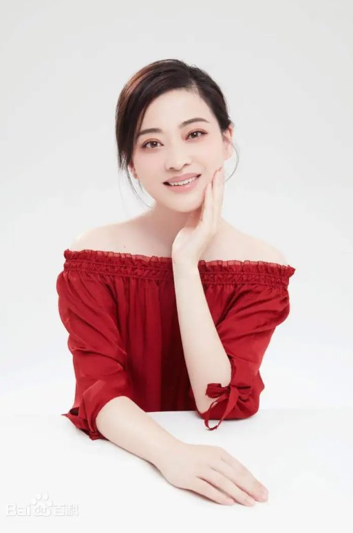 梅婷的电视剧作品有哪些