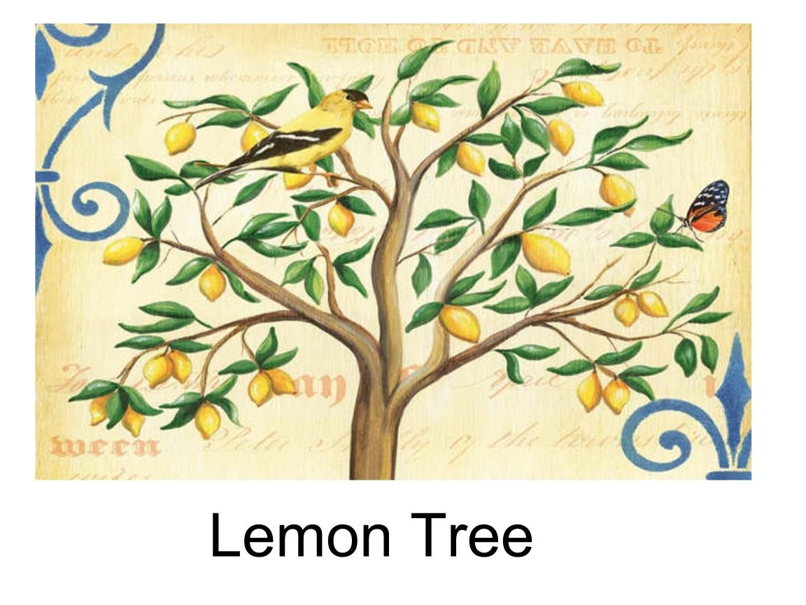 lemon tree （英文版）要求打印版的完整歌词