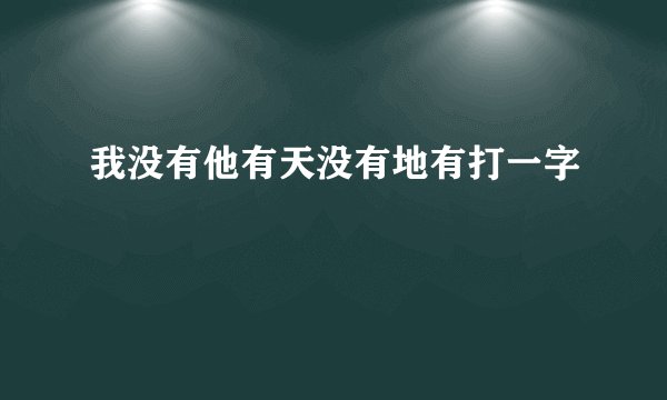 我没有他有天没有地有打一字