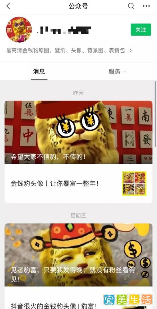 金钱豹发财项目