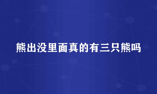 熊出没里面真的有三只熊吗