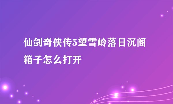 仙剑奇侠传5望雪岭落日沉阁箱子怎么打开