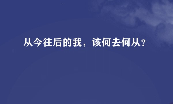 从今往后的我，该何去何从？