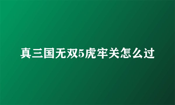 真三国无双5虎牢关怎么过