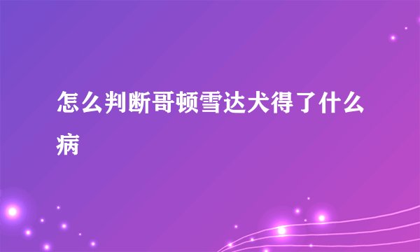 怎么判断哥顿雪达犬得了什么病