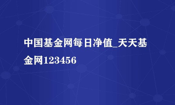 中国基金网每日净值_天天基金网123456