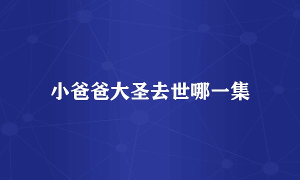 小爸爸大圣去世哪一集