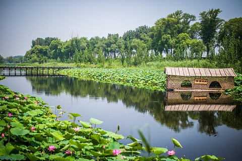 白洋淀旅游攻略自驾