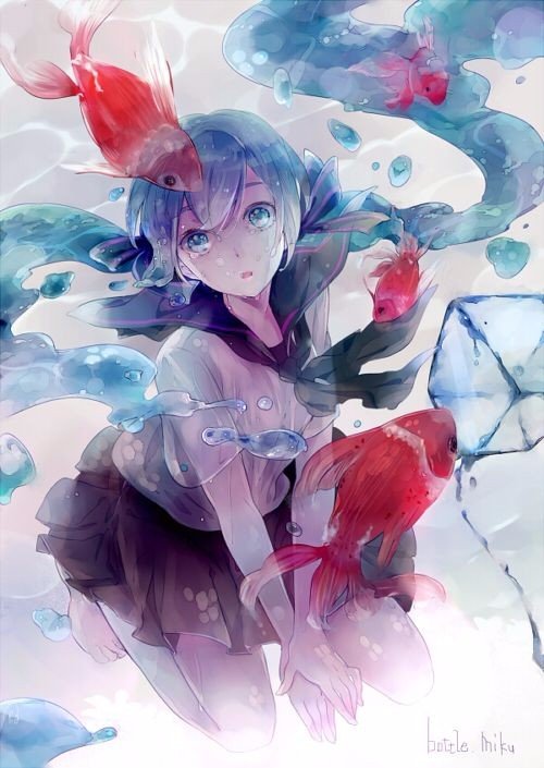 求完整图。