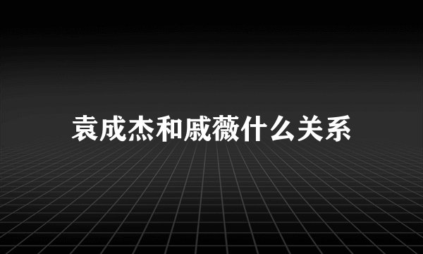 袁成杰和戚薇什么关系