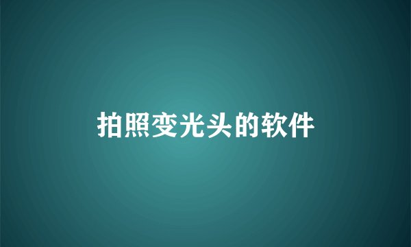 拍照变光头的软件
