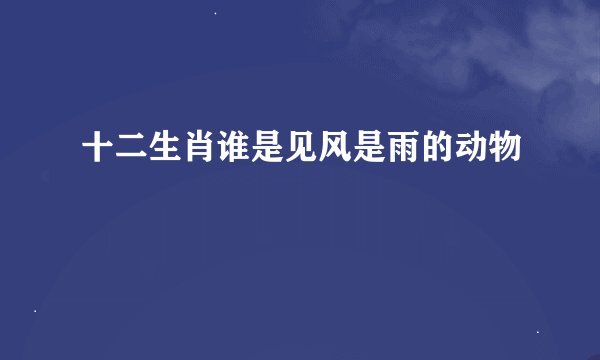 十二生肖谁是见风是雨的动物