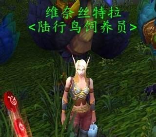 魔兽世界血精灵种族坐骑各色陆行鸟哪里买