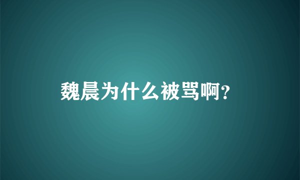 魏晨为什么被骂啊？