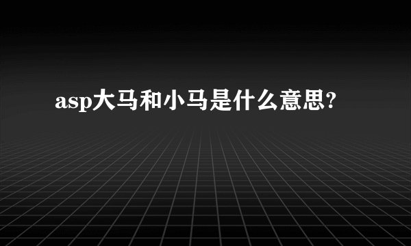 asp大马和小马是什么意思?