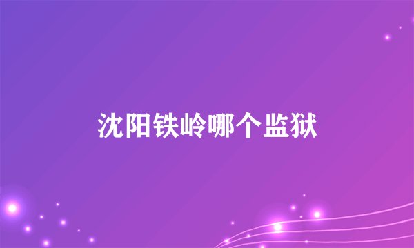 沈阳铁岭哪个监狱