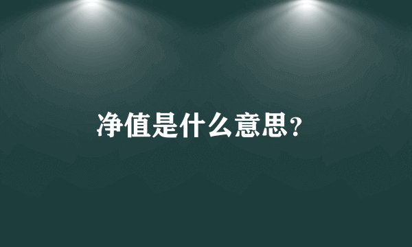 净值是什么意思？