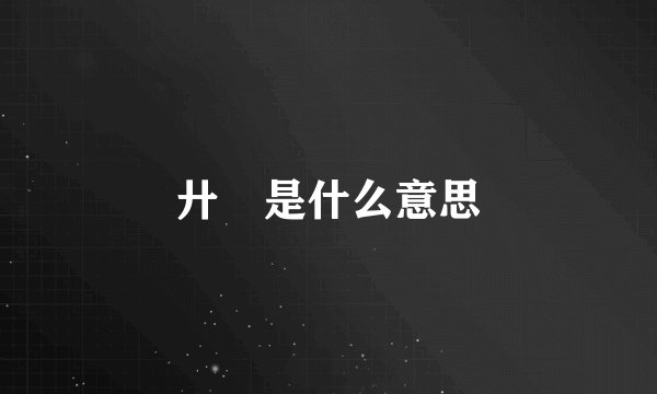 廾匸是什么意思