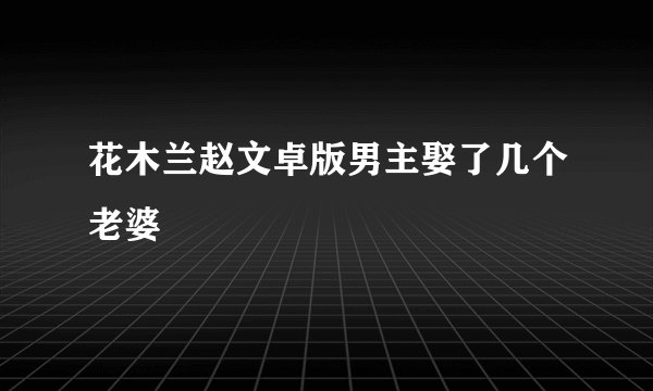 花木兰赵文卓版男主娶了几个老婆