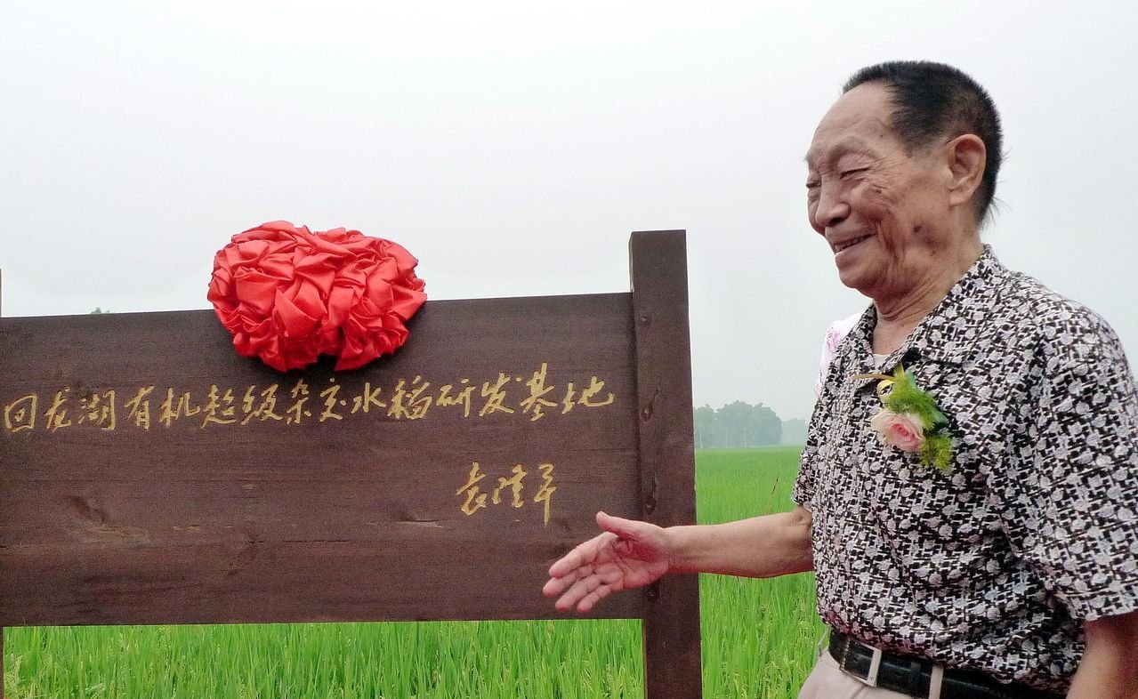 袁隆平去世享年91岁,众星发声悼念:一路走好,你还记得课本上的他吗?