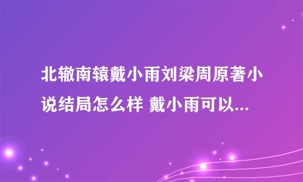 北辙南辕戴小雨刘梁周原著小说结局怎么样 戴小雨可以托付的人是谁