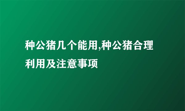 种公猪几个能用,种公猪合理利用及注意事项