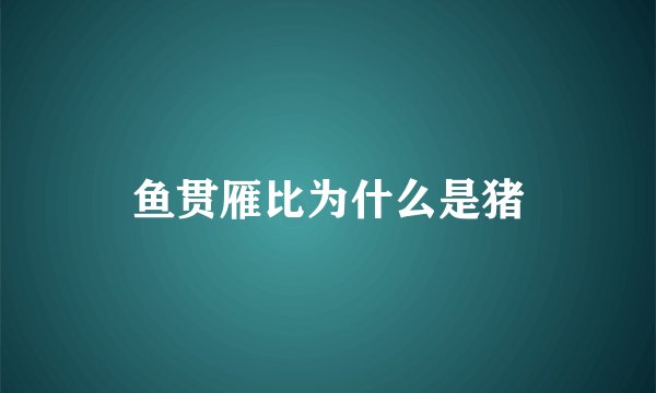 鱼贯雁比为什么是猪