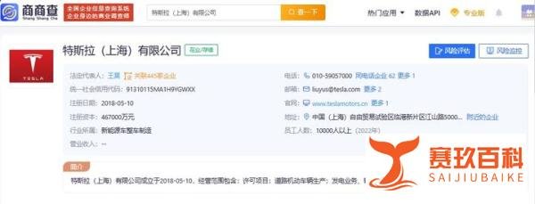 特斯拉裁员更多细节曝光,中国裁员比例不止10%