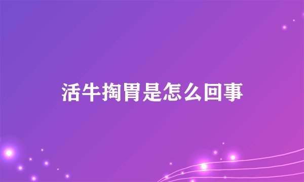 活牛掏胃是怎么回事