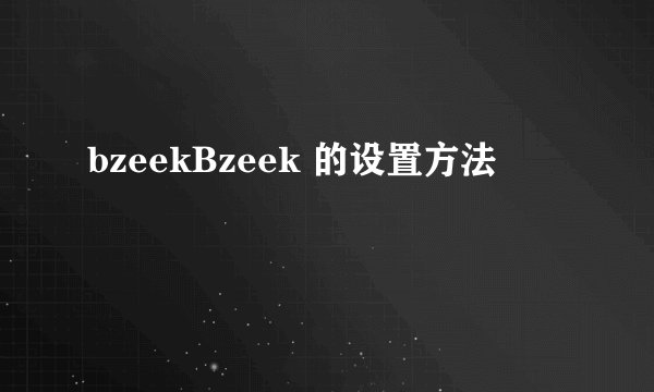 bzeekBzeek 的设置方法