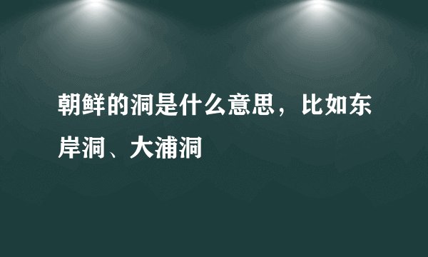 朝鲜的洞是什么意思，比如东岸洞、大浦洞