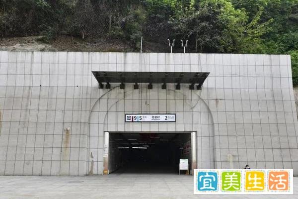 打工人的天堂!女子上下班坐14次扶梯获公司补贴,每月补贴888元