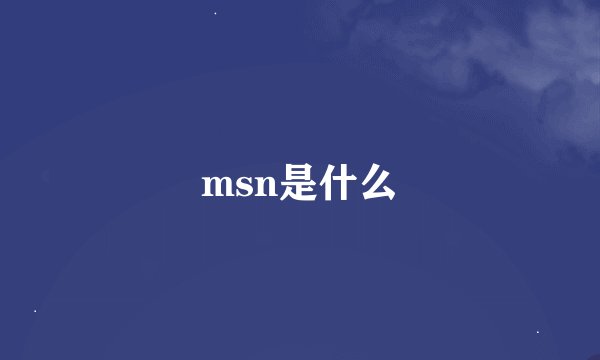 msn是什么