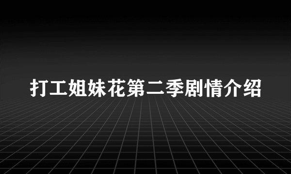 打工姐妹花第二季剧情介绍